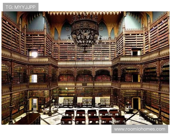 深入分析d88尊龙会员登录对玩家的吸引力及市场潜力